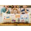 Two Scoops Bench Pillow Embroidery Kit